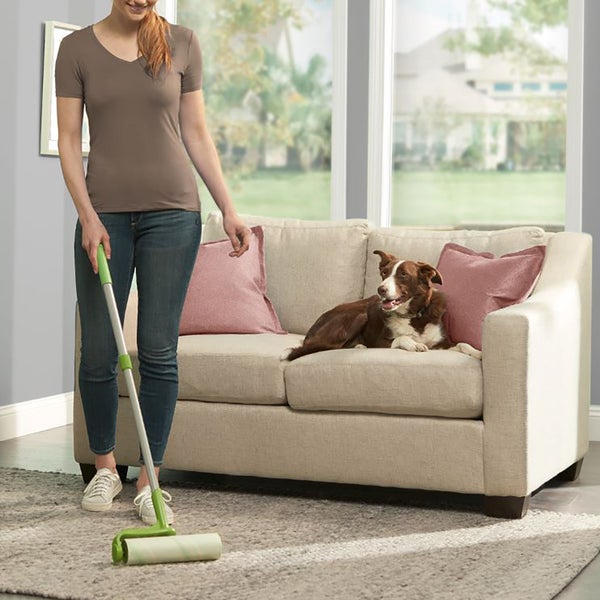 Evercare Mega Pet Hair Floor Roller The Container Store